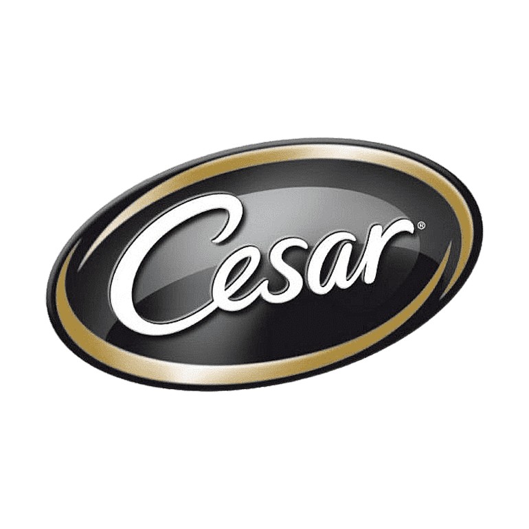 CESAR