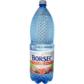 Borsec Apa Plata Still Water