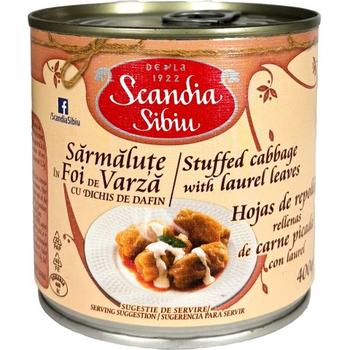 Scandia Sibiu Stuffed Cabbage W. Laurel Leaves Sarmulate