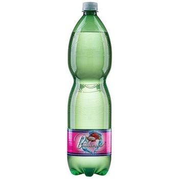 BALDOVSKA PITAHAYA