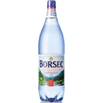 BORSEC WATER SPARKLING BIG