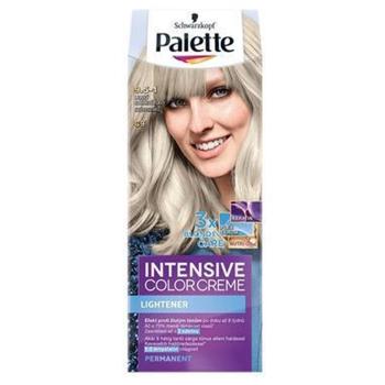 PALETTE SILVER BLUE C9