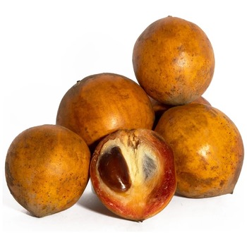 AGBALUMO (UDARA) AJASE - AFRICAN CHERRY
