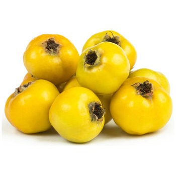 ALIC (HAWTHORN)