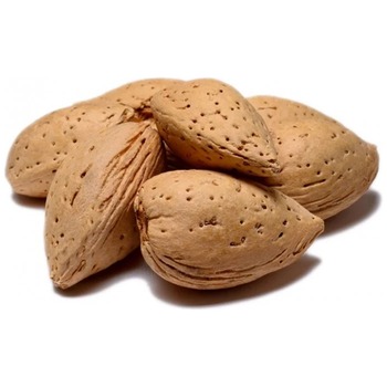 ALMOND WITH SHELL
