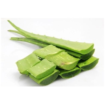 ALOE VERA LEAVES