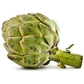 ARTICHOKE