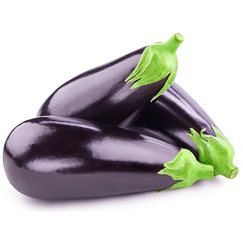AUBERGINE