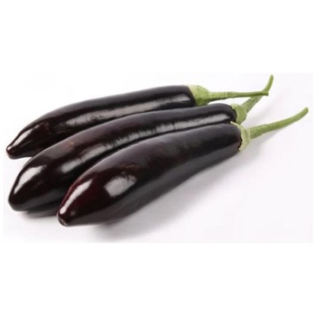 AUBERGINE LONG (TURKISH)