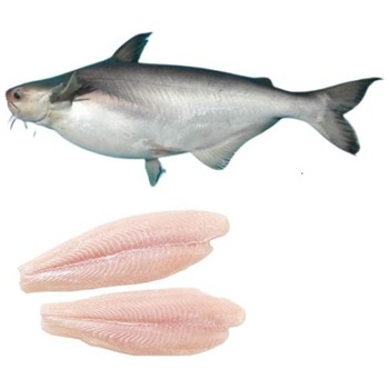 AYTAC FISH PANGASIUS FILLET (FROZEN)