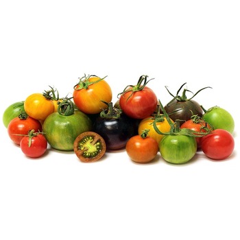 BABY HERITAGE TOMATO