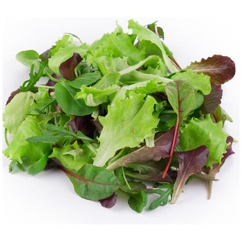 BABY LEAF LETTUCE (PRE PACK)