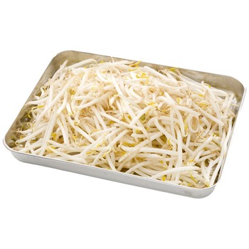 BEAN SPROUT P.P