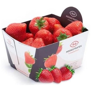 BELGIUM STRAWBERRY