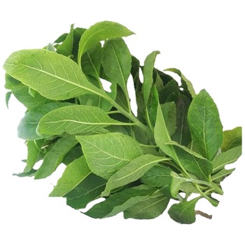 BITTER LEAVES (EWURO)