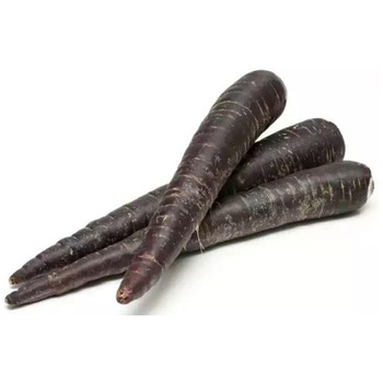 BLACK CARROT (SALGAM)