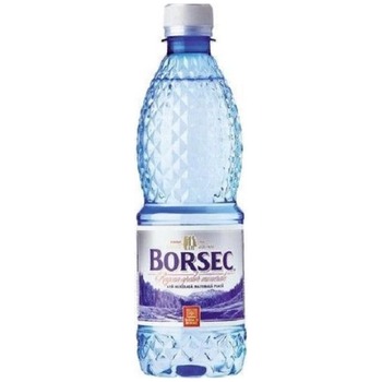 BORSEC NATURAL MINERAL WATER (APA PLATA)