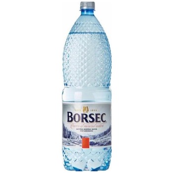 BORSEC NATURAL MINERAL WATER (APA PLATA)