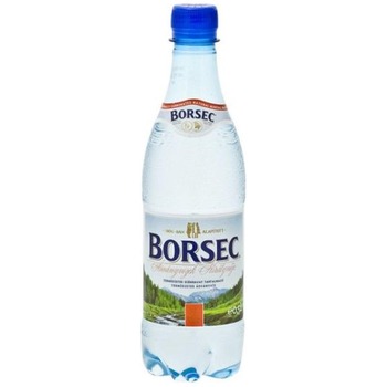 BORSEC SPARKLING WATER (APA MINERALA)