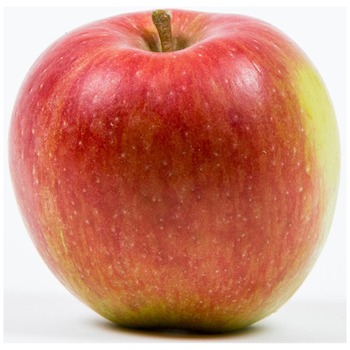 BRAEBURN APPLE