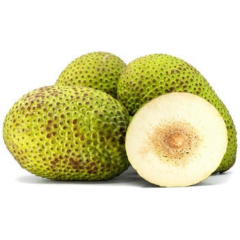 BREAD FRUIT
