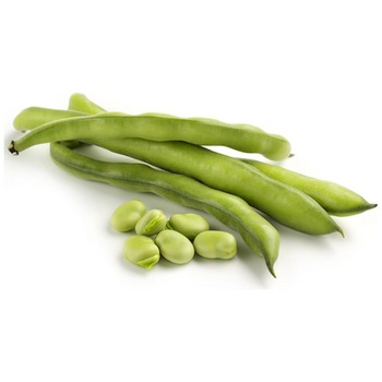 BROAD BEANS