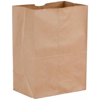 BROWN PAPER BAGS 254X254MM (10X10)