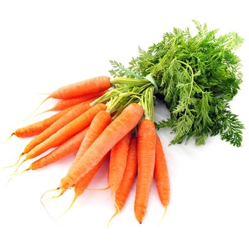 BUNCH CARROT (LEAF)