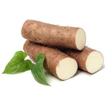 CASSAVA