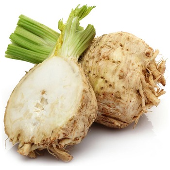 CELERIAC NET
