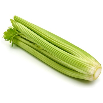 CELERY SHORT