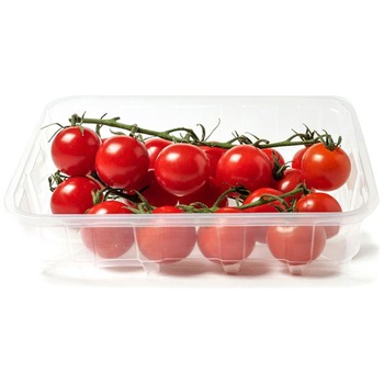 CHERRY VINE TOMATO P.P