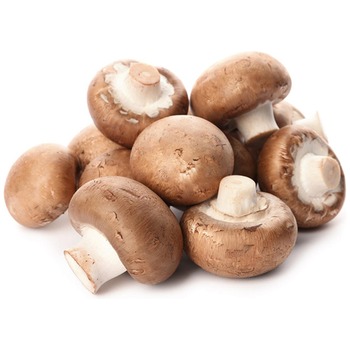 CHESTNUT MUSHROOM