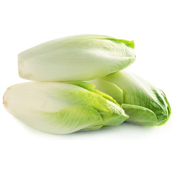 CHICORY