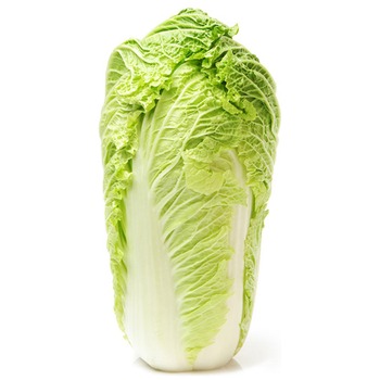CHINESE LETTUCE