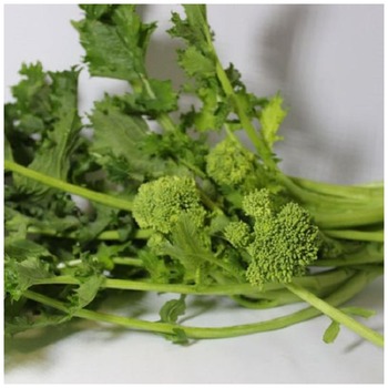 CIMA RAPA (BROCCOLI LEAVES)
