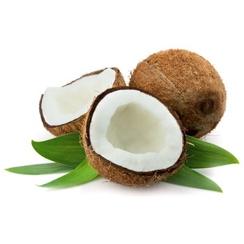 COCONUT BAG