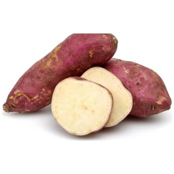 COLOMBIA SWEET POTATO