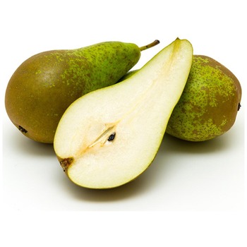 CONFERANCE PEAR