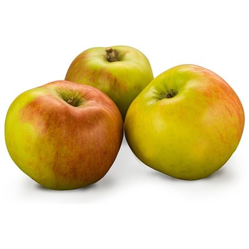 COOKING BRAMLEY APPLE