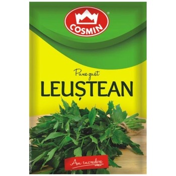 COSMIN LEUSTEAN