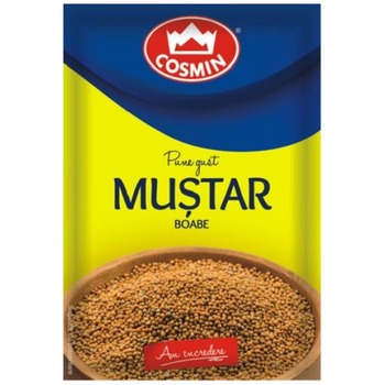 COSMIN MUSTAR BOABE