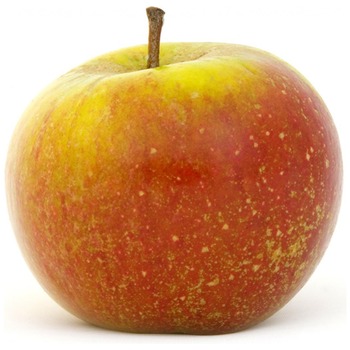 COX APPLE