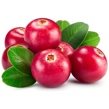 CRANBERRY FRUIT