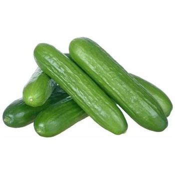 CUCUMBER MINI (BIG BOX) JACK POT