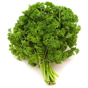 CURLY PARSLEY