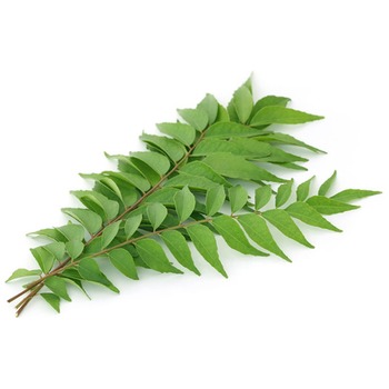 CURRY LEAF