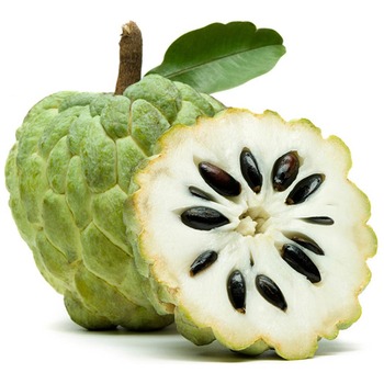 CUSTARD APPLE (ATEMOYA)