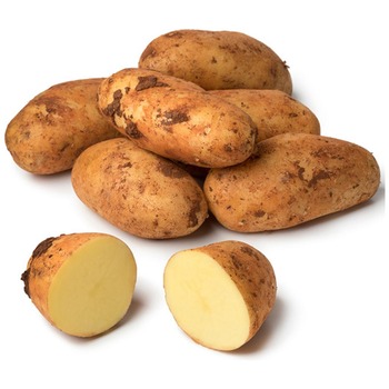 CYPRUS POTATO