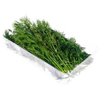 DILL PLASTIC